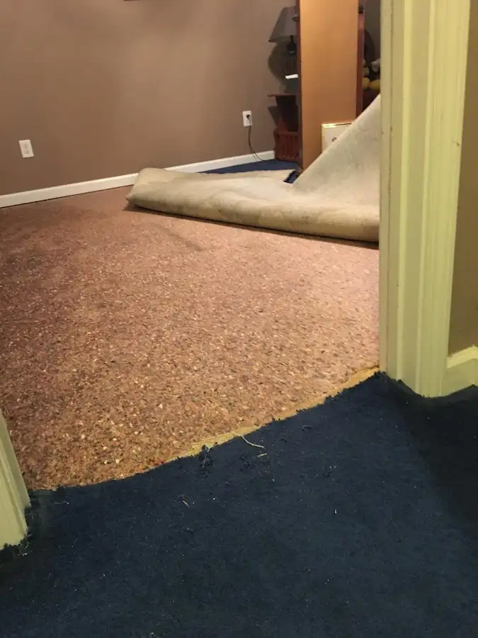 Carpet pad removal revealing water damage during Water Mitigation Services in New Port Richey