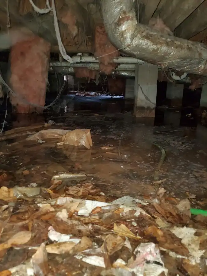 Crawl space flood assessment for Leak Detection & Repair in New Port Richey