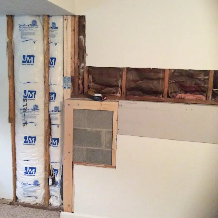Wall insulation replacement during Odor Removal & Deodorization in New Port Richey